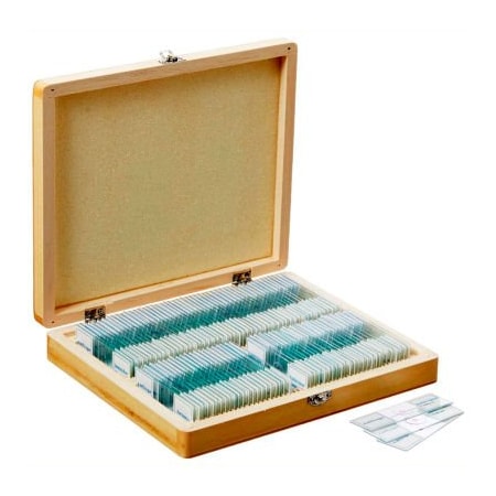 United Scope Llc. AmScope PS100E 100 pc. Homeschool Biology Prepared Microscope Slides with Wooden Case PS100E